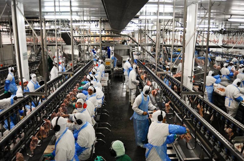 Proposta altera a Consolidação das Leis do Trabalho (CLT) para atualizar tempo de trabalho contínuo em ambientes de baixa temperatura - Saulo Cruz/Câmara dos Deputados