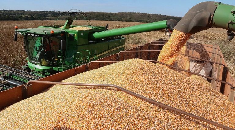 Isenção tributária poderá valer para derivados do grão de milho - (Foto: Divulgação/Governo de Mato Grosso do Sul)