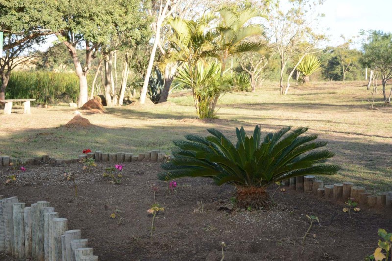 Foto: Reprodução/Prefeitura Mun. Vitória da Conquista - BA