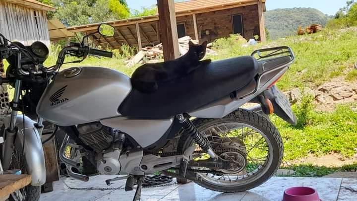 Foto Divulgação