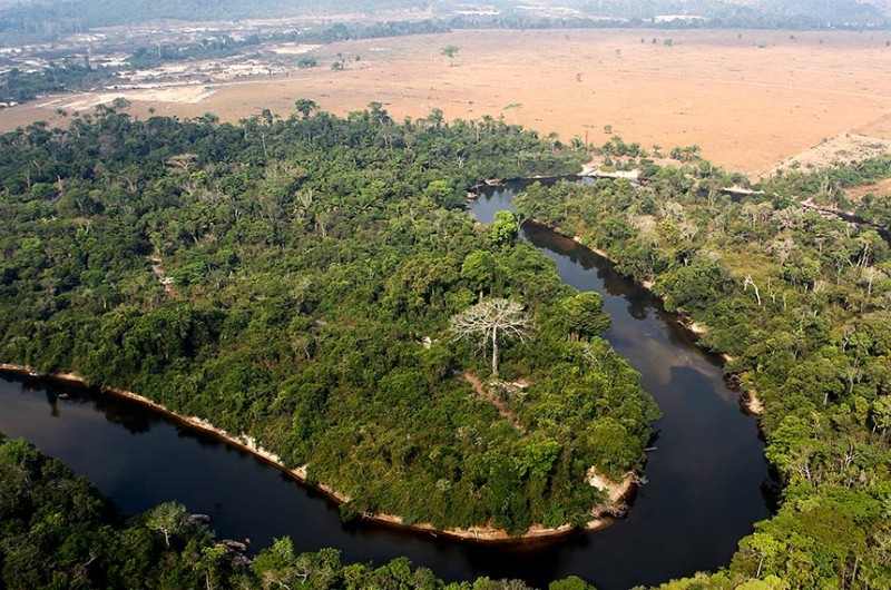 Ocupação em área da Floresta Amazônica na região de Altamira, no Pará - Felipe Werneck/Ibama