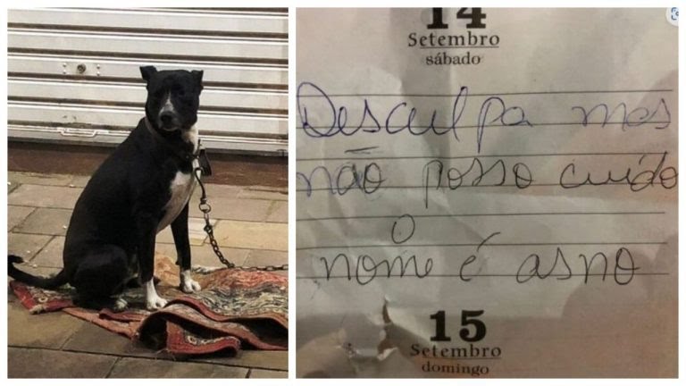 Foto Divulgação