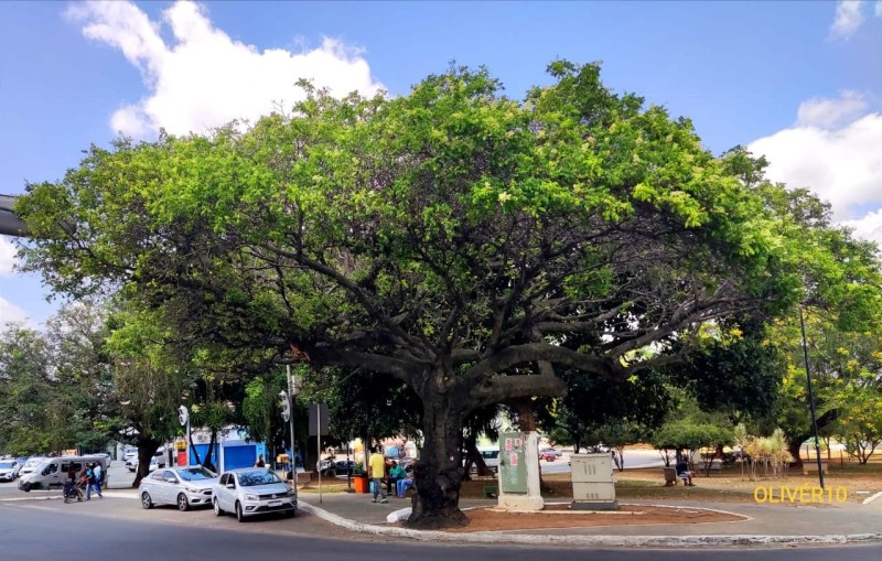 Foto: Reprodução/Prefeitura Mun. Vitória da Conquista - BA