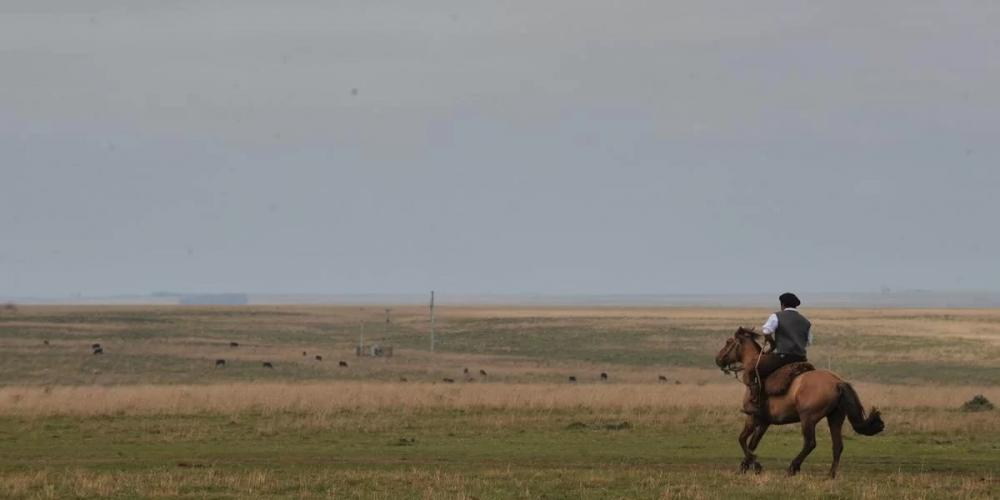 ITR deve ser declarado por produtores, usufrutuários ou possuidores de qualquer imóvel rural | Foto: Mauro Schaeffer / CP Memória