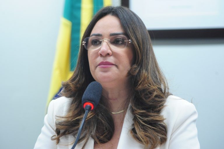 Deputada Rejane Dias, autora da proposta - (Foto: Billy Boss/Câmara dos Deputados)