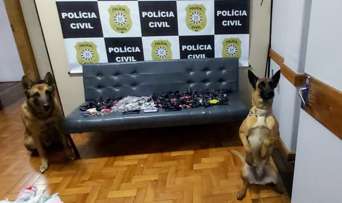 Foto: Polícia Civil/Divulgação