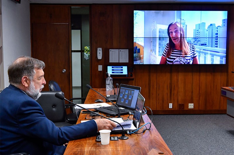 Flávio Arns é presidente e Mara Gabrilli, vice-presidente da subcomissão - Waldemir Barreto/Agência Senado