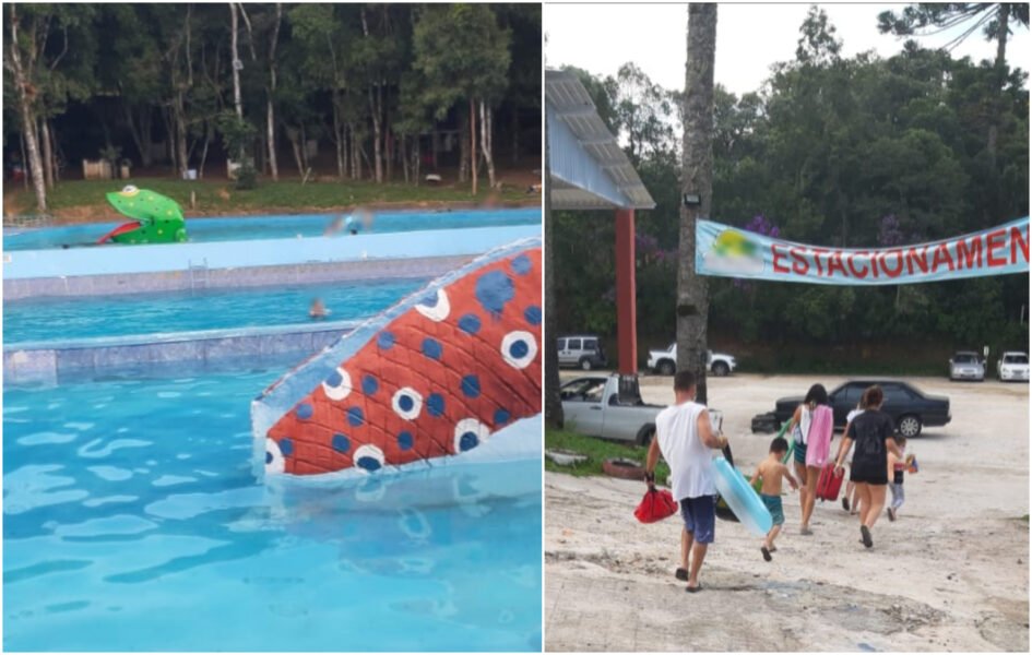 (FOTO: DIVULGAÇÃO/ GUARDA MUNICIPAL DE SÃO JOSÉ DOS PINHAIS)