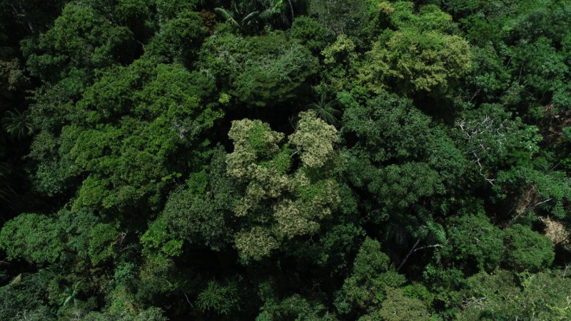 Foto: Reprodução/Secom Acre