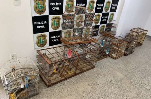 Foto: Reprodução/Secom Ceará