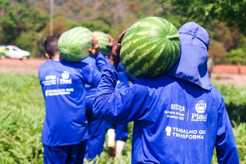 Foto: Reprodução/Secom Piauí