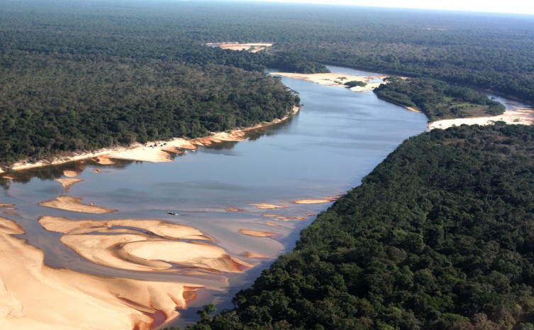 Os créditos de carbono se referem à legibilidade do bioma Amazônia no Estado, que podem ser encontrados no Cantão - Foto: Fernando Alves/Governo do Tocantins