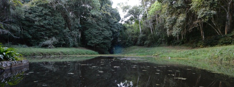 Foto: Reprodução/Secom Minas Gerais