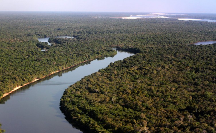 Durante a COP 27 Tocantins irá apresentar ao mundo ações de redução de desmatamento e queimadas - Foto: Fernando Alves/Governo do Tocantins