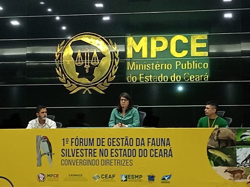 Foto: Reprodução/Secom Ceará