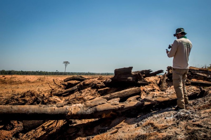 Operação de combate ao desmatamento ilegal - SEMA - Foto por: Christiano Antonucci