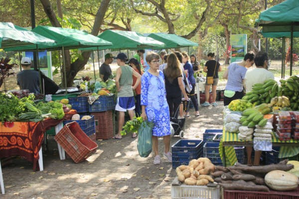 Foto: Reprodução/Secom Ceará