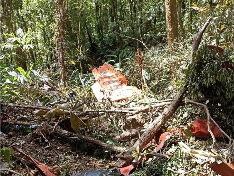 Avião da FAB foi encontrado destruído neste sábado — Foto: Prefeitura Canelinha/ Divulgação
