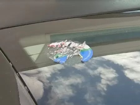 Recenseadora do IBGE tinha adesivo do PT no carro Imagem: Reprodução/TV TEM
