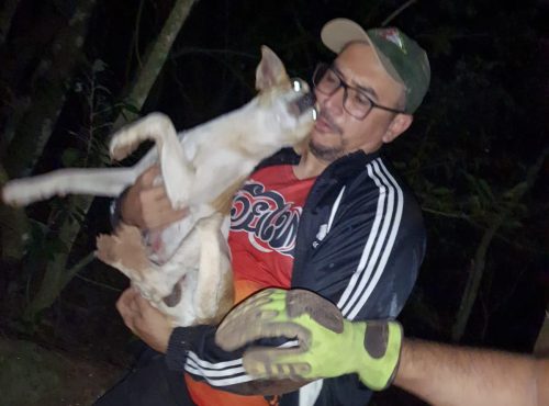 Imagem: Divulgação