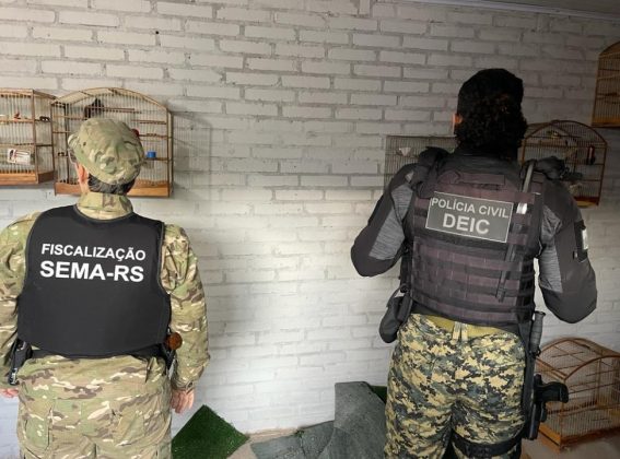 Foto: Polícia Civil / Divulgação