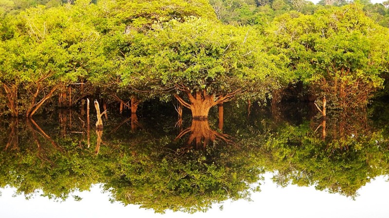 Foto: Reprodução/Secom Amazonas
