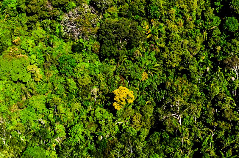 Região Amazônica - Foto por: Marcos Vergueiro/Secom