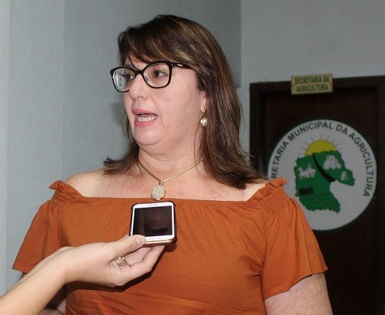 Secretária municipal da Saúde, Clairê Chitolina (Foto: Divulgação)