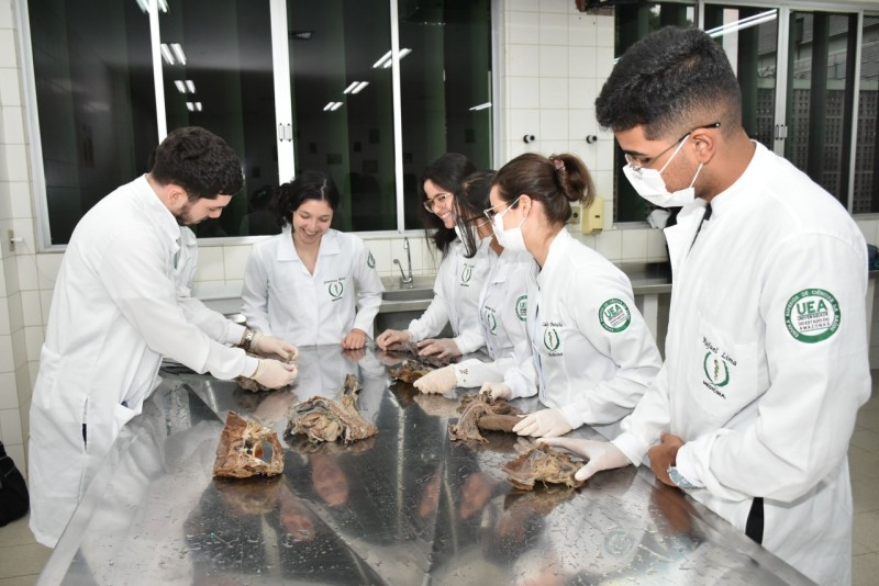 Foto: Reprodução/Secom Amazonas