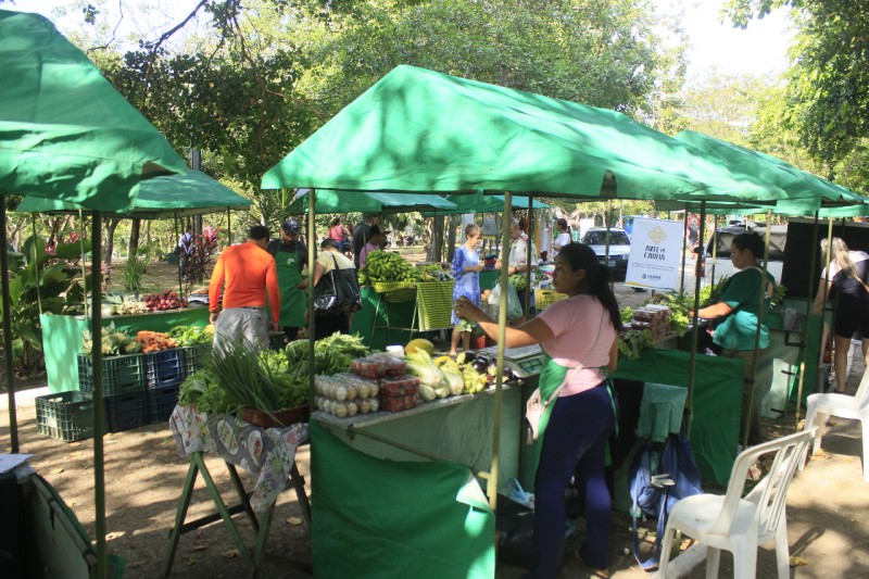 Foto: Reprodução/Secom Ceará