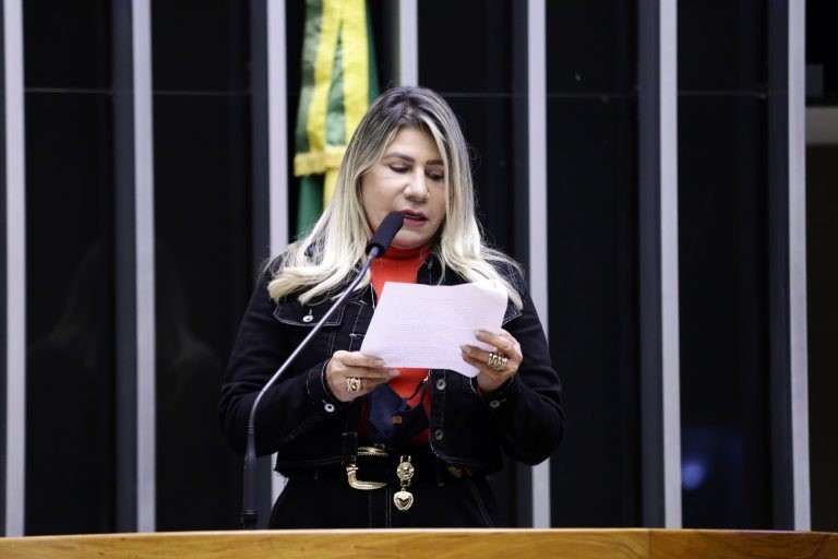Edna Henrique: 8.750 das vagas de graduação iriam para as vítimas dos crimes - (Foto: Pablo Valadares/Câmara dos Deputados)