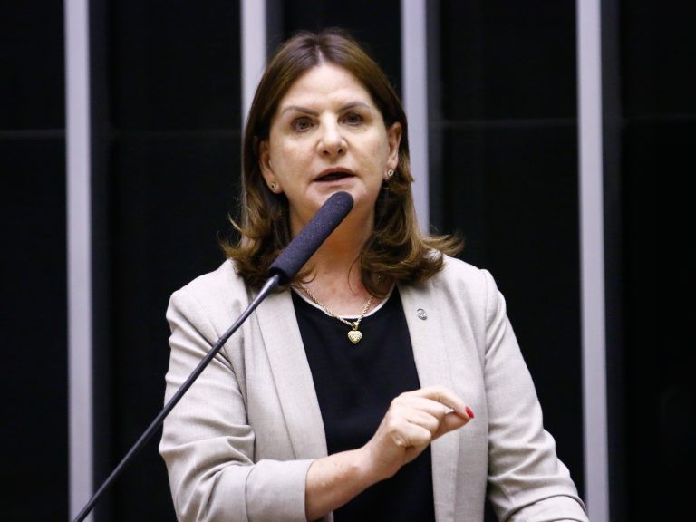 A presidente da comissão, deputada Carmen Zanotto - (Foto: Marina Ramos/ Câmara dos Deputados)