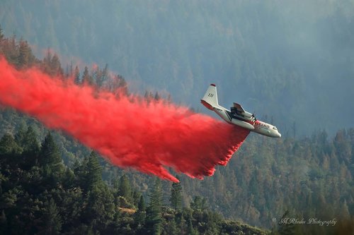 Avião que caiu fazia trabalho de controle das chamas na Austrália | Foto: Divulgação/Coulson Aviation