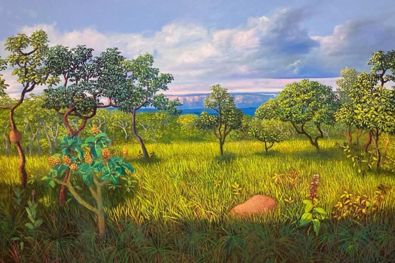 Exposição de Miguel Penha no Museu de História Natural - Foto por: Divulgação