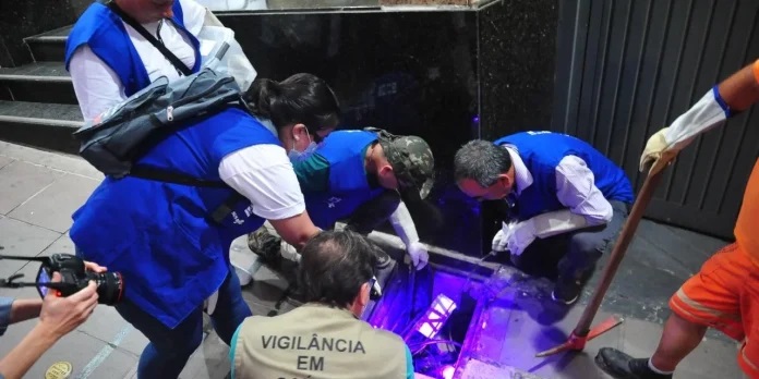 Vigilância da saúde captura 23 escorpiões amarelos no Centro Histórico | Foto: Fabiano do Amaral/CP