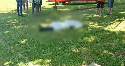 Foto: Divulgação