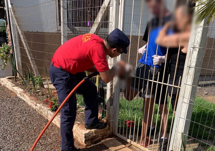 Foto: Corpo de Bombeiros / Divulgação