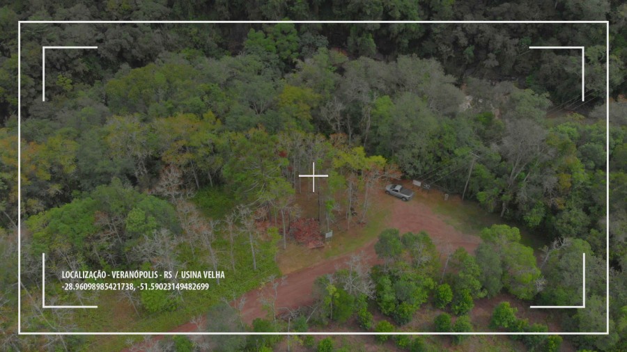 Foto: Fiscalização Municipal