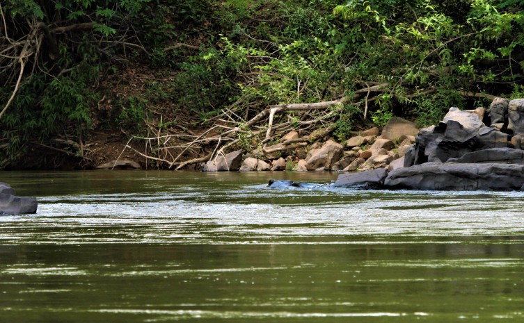 Recursos Hídricos amplia rede de monitoramento e fortalece gestão dos Comitês de Bacia do Tocantins - Foto: Marcel de Paula/Governo do Tocantins