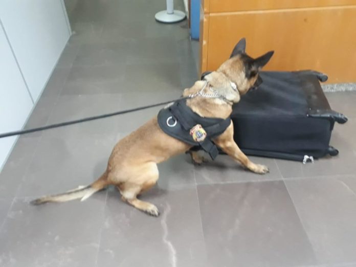 Foto: Polícia Federal./Divulgação.