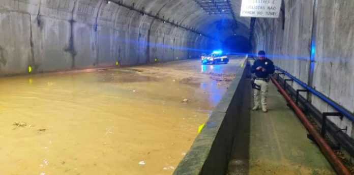 Polícia Rodoviária Federal e Arteris Litoral Sul foram acionadas | Foto: PRF / Divulgação / CP