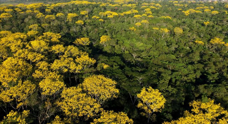 Foto: Reprodução/Secom Acre